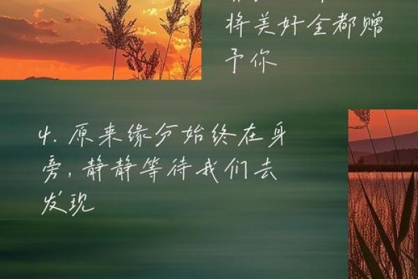 你相信缘分吗_你相信缘分吗的说说 你相信缘分吗_你相信缘分吗的说说