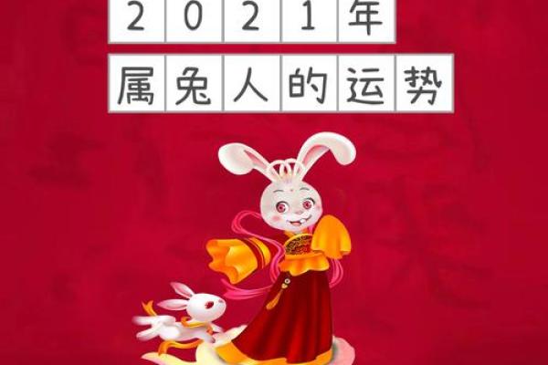 属兔人2021年开店 属兔人2021年开店