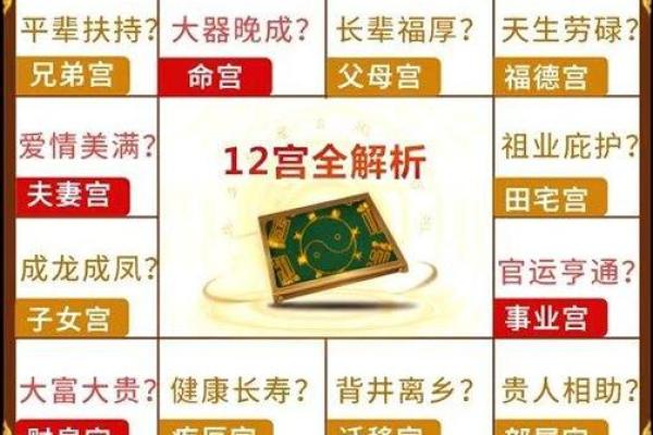 2025年3月11日子时女命紫微斗数全解盘