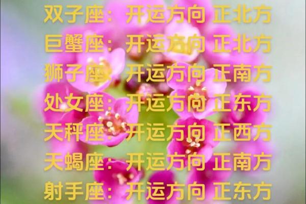 12星座2025年全年运势_十二星座2o21年运势