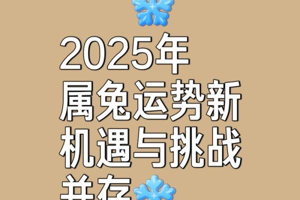 属兔的人2025年运势及运程详解_属兔人2025运势及运程详解 属兔的人2025年运势及运程详解_属兔人2025运势及运程详解