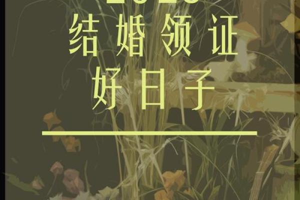 2025领证最佳日子是哪天啊 2025领证最佳日子是哪天啊