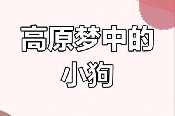 梦见小狗