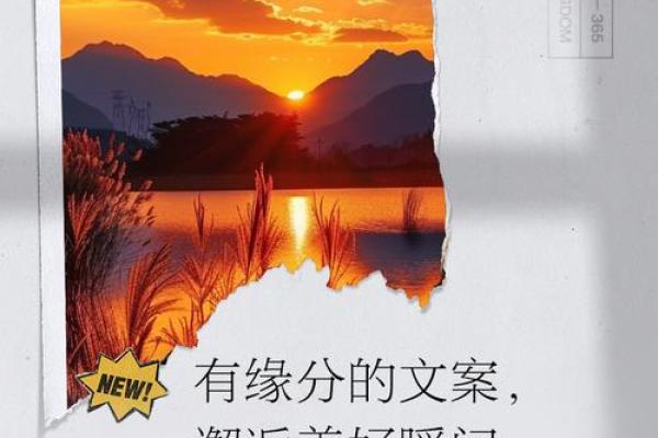 盘点突如其来的缘分_盘点突如其来的缘分那些不期而遇的美好瞬间 盘点突如其来的缘分_盘点突如其来的缘分那些不期而遇的美好瞬间