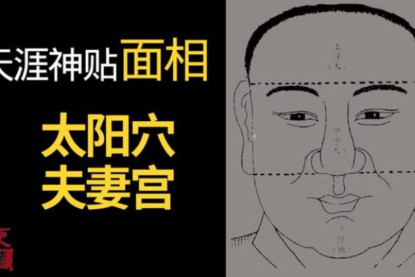 夫妻宫对宫是哪一宫_夫妻宫对宫解析揭秘婚姻运势的关键宫位