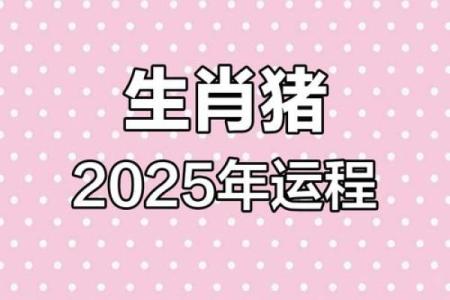 1983属猪的2025运势怎么样_2025属猪人1995的全年运势如何