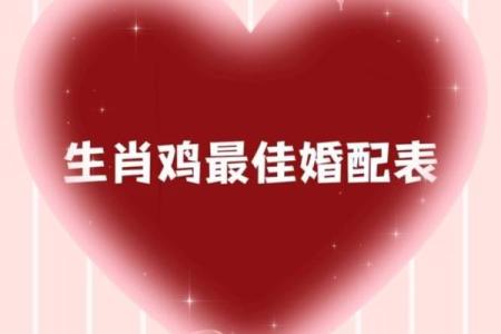 1994年属狗的最佳配偶_1993年属鸡的最佳配偶