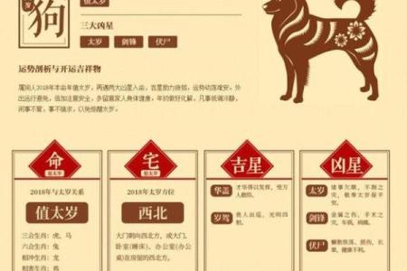 06年的狗和什么属相配_2006年狗和什么配最佳