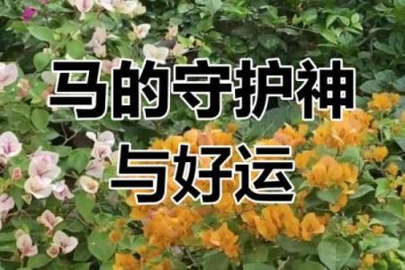 1966年属马人今日运势解析财运健康双旺贵人助力事业升
