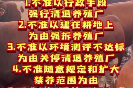 4月1号可以动土吗