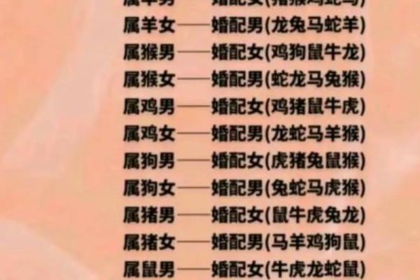男属龙和女属兔的姻缘怎样啊 男属龙女属兔姻缘解析生肖配对是否幸福美满 男属龙和女属兔的姻缘怎样啊 男属龙女属兔姻缘解析生肖配对是否幸福美满