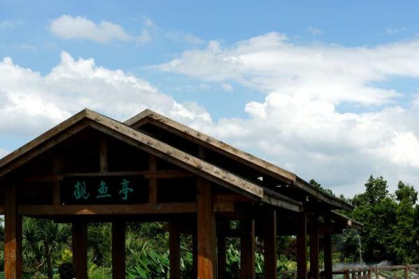 骄阳似火打一生肖(骄阳似火是什么肖打一肖个来) 骄阳似火打一生肖(骄阳似火是什么肖打一肖个来)