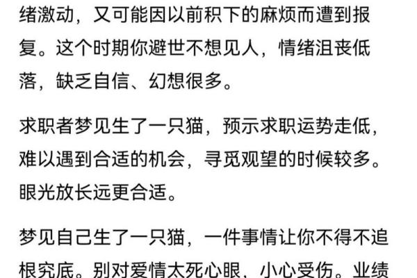 梦见猫生小猫是什么预兆