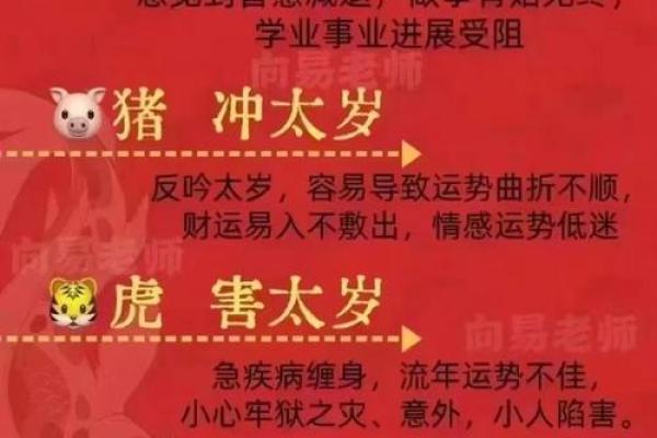 宋韶光解析2025年属狗运程运势详解与开运指南