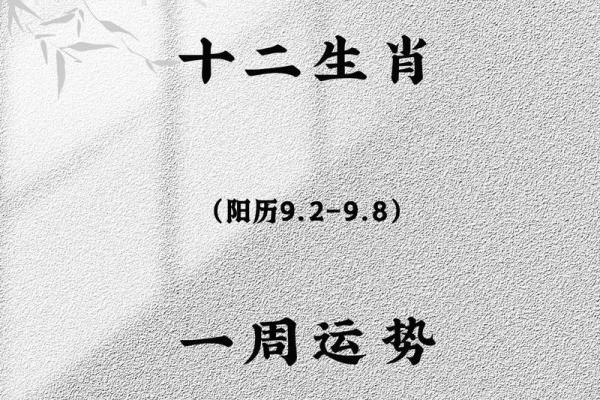 1988年2月13日属龙还是属兔_1988年2月13日出生属什么 1988年2月13日属龙还是属兔_1988年2月13日出生属什么