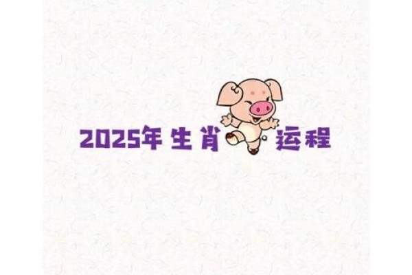 2025年属猪的年龄 2025年属猪人年龄解析运势与人生阶段全揭秘