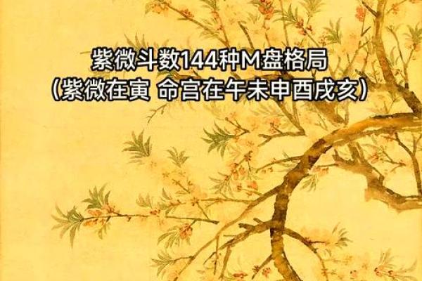 2025年3月15日寅时女命紫微斗数全解盘 2025年3月15日寅时女命紫微斗数全解盘