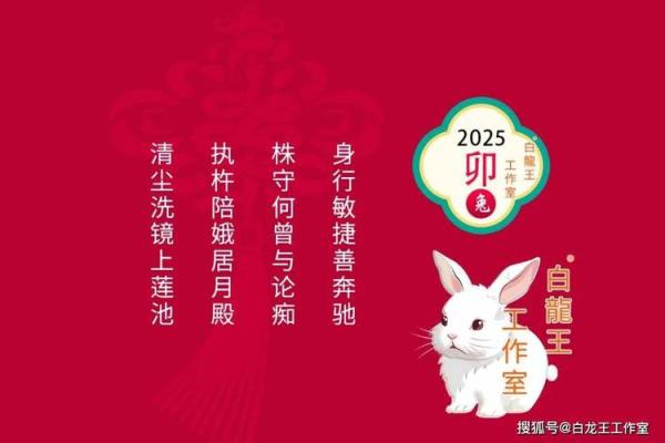 2025年属兔的运势和财运1987年 属兔2025年运势及运程1987年的兔