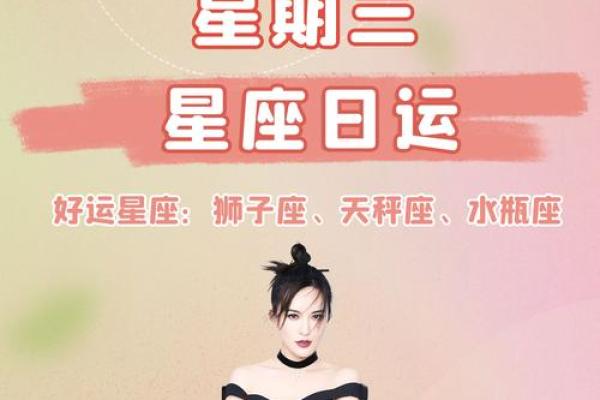 2024年十三星座运势解析全面预测你的未来走向