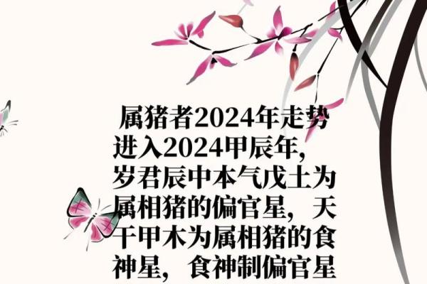 属猪人2024年全年运势及运程_2025年属猪人每月运势