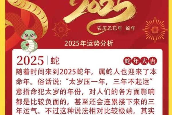 2025蛇年属猪运势 2025蛇年属猪运势解析财运事业感情全攻略 2025蛇年属猪运势 2025蛇年属猪运势解析财运事业感情全攻略