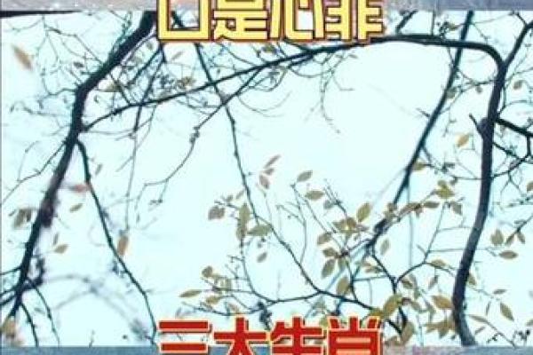 冰雪聪明是什么生肖 冰雪聪明是什么生肖