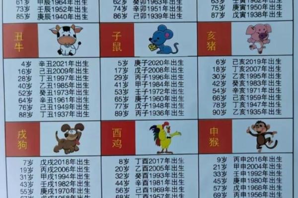 属猪多大2025年虚岁了_属猪2022年多少岁