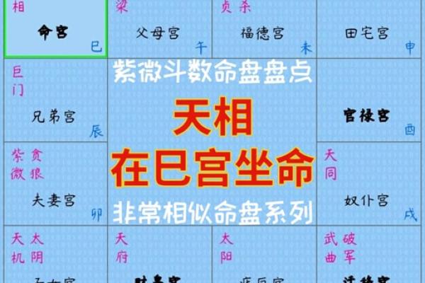 2025年3月21日子时女命紫微斗数全解盘 2025年3月21日子时女命紫微斗数全解盘