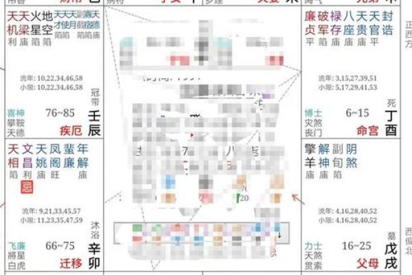 2025年3月25日子时男命紫微斗数全解盘 2025年3月25日子时男命紫微斗数全解盘