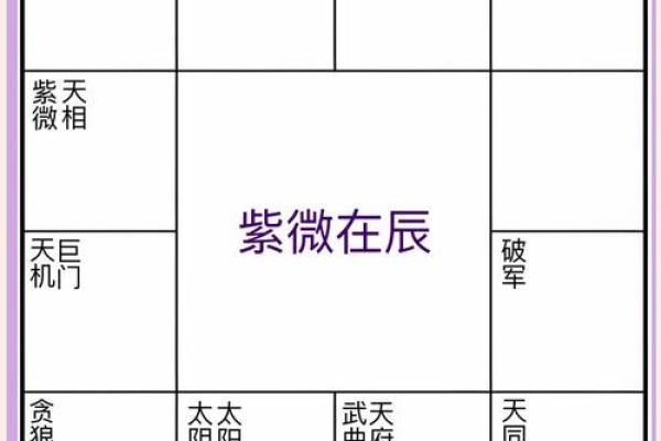 2025年3月5日寅时女命紫微斗数全解盘