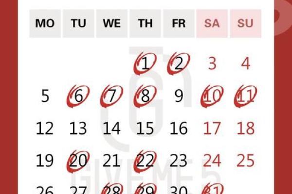 2024年重要的日子(2024年特殊日子)