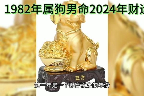 1982年属狗今天财运_1982年属狗今天财运如何 1982年属狗今天财运_1982年属狗今天财运如何