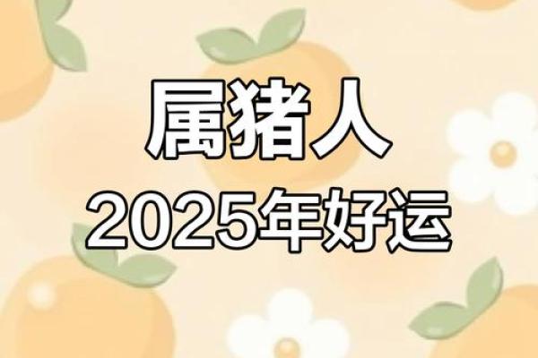 95年属猪人2025年全年运势及运程_95年属猪人2025年运势详解全年运程大揭秘 95年属猪人2025年全年运势及运程_95年属猪人2025年运势详解全年运程大揭秘