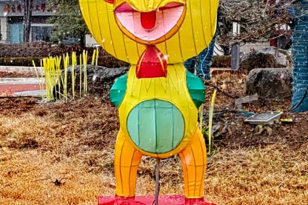 栩栩如生指什么生肖 栩栩如生指什么生肖