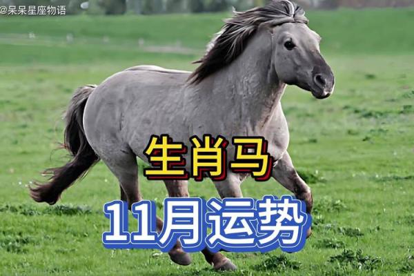 1966年属马今年的运势_1966年属马今年的运势怎么样