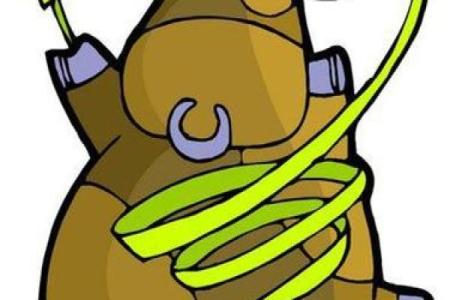 心狠手辣的动物是什么生肖