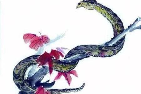 笑里藏刀指的是什么生肖