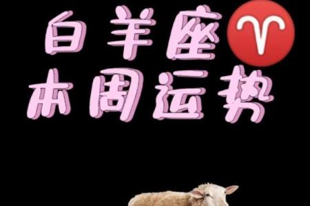 白羊座的运气今天