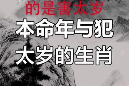 2021年是属什么生肖