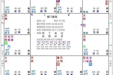 2025年2月23日寅时男命紫微斗数全解盘