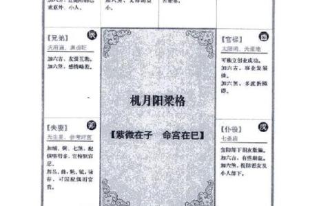 2025年3月4日寅时男命紫微斗数全解盘