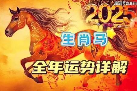 2025属马多少岁了 2025年属马人多少岁年龄计算与运势解析