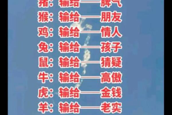 2024年运势星座运势详解 2024年12生肖运势解析完整版