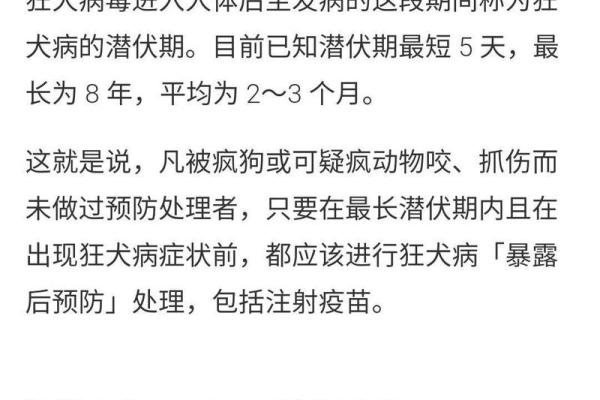 梦到被猫咬是什么征兆 女性