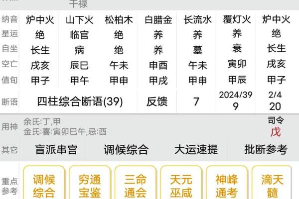 生辰八字排盘_生辰八字排盘详细解析