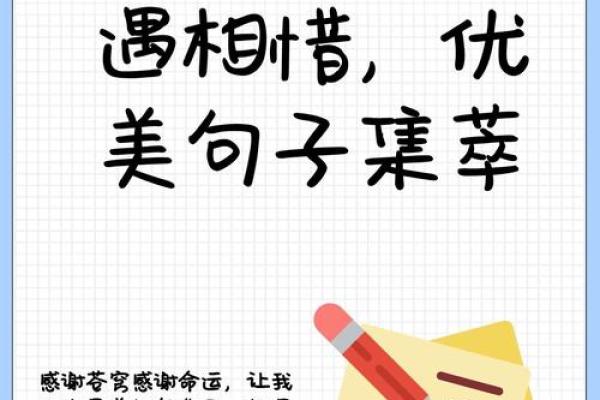 缘分让我们相遇一场美丽的意外 缘分让我们相遇一场美丽的意外