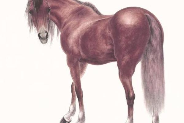 戎马倥偬指什么生肖(戎马倥偬打一肖) 戎马倥偬指什么生肖(戎马倥偬打一肖)