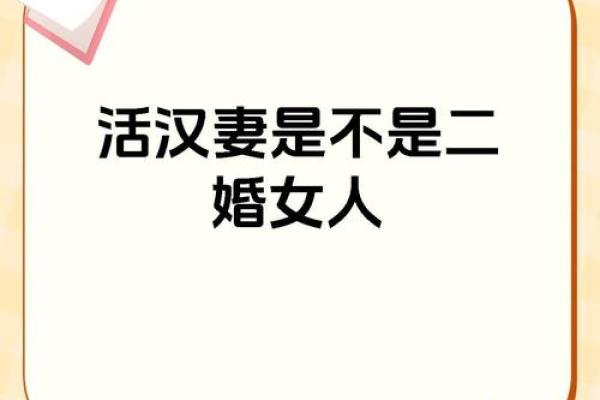 二婚女人嫁一婚男因果_二婚的女人嫁给一婚男