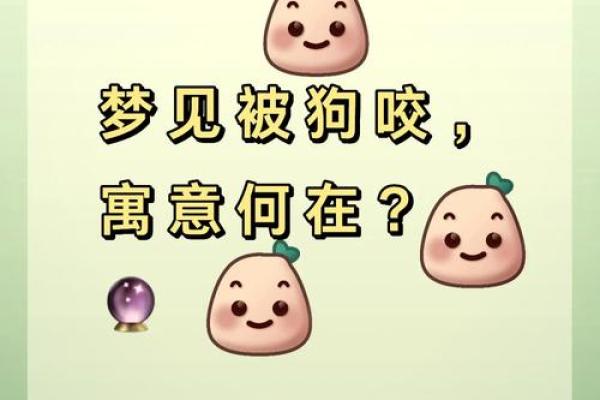 梦见狗咬自己的手