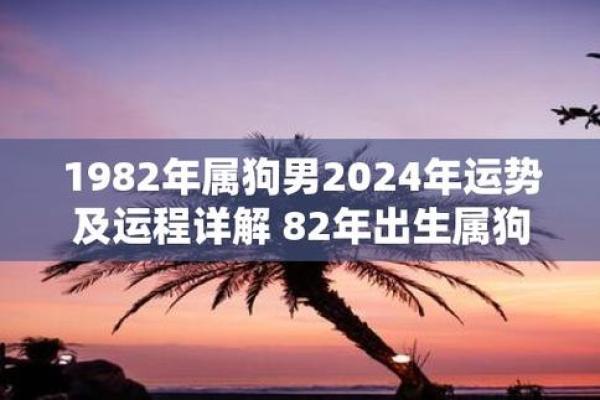 1982年狗2024年属狗的全年运势_1982年属狗的命运